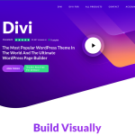 divi_screenshot